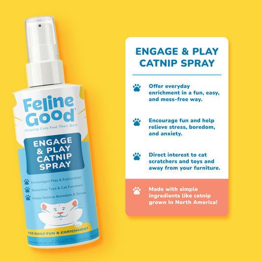 Engage & Play Catnip Spray